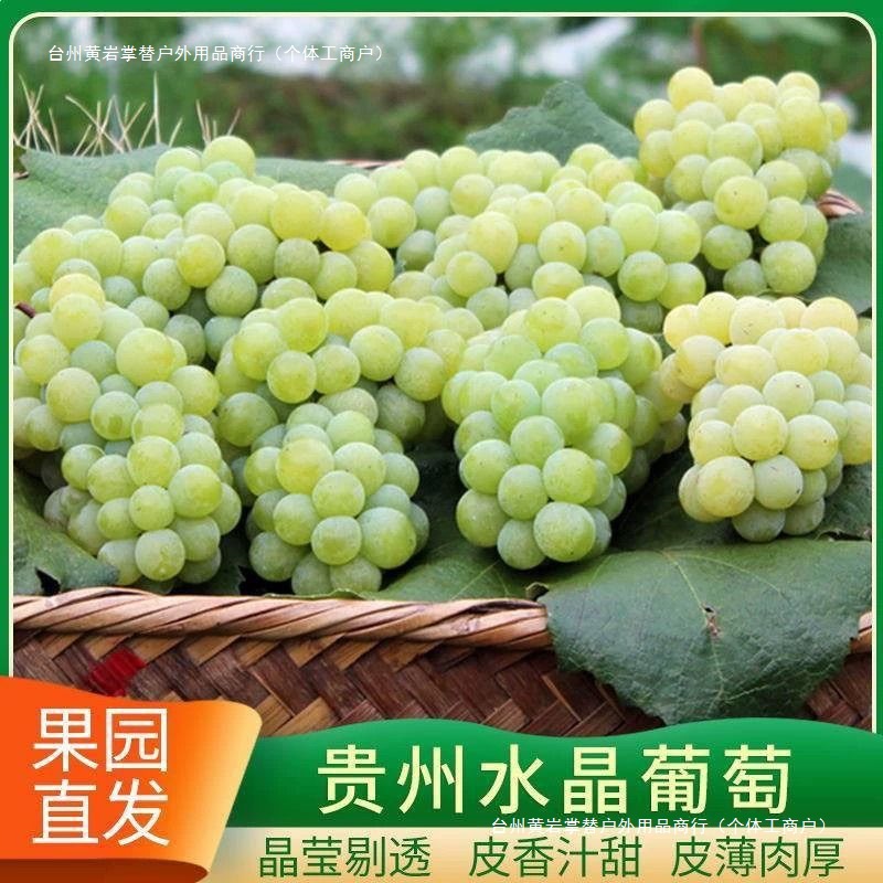 Freshly Picked Guizhou Crystal Grapes for Delivery, Farm Green Grapes, Seasonal Fruit, Fresh Green Grapes, Simple Packaging Shashanzi
