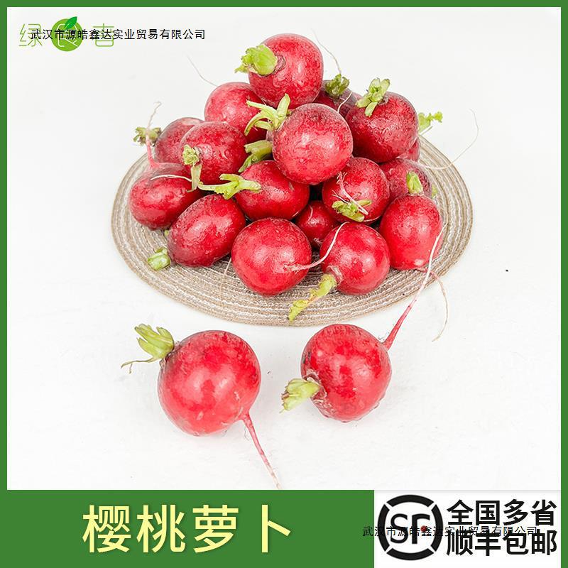 Свежая черешня редис, мини-фруктовый редис, маленький красный круглый редис, сырые овощи для западного салата