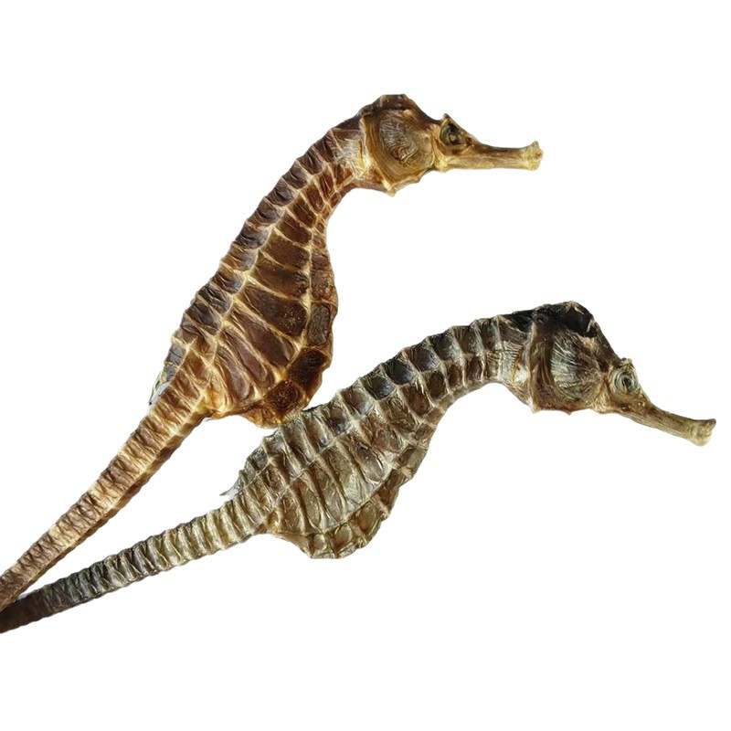 Weiyinma Seahorse Dry Goods, Seahorse Breeding Source, Nourishing and Beautifying, Gentle Care