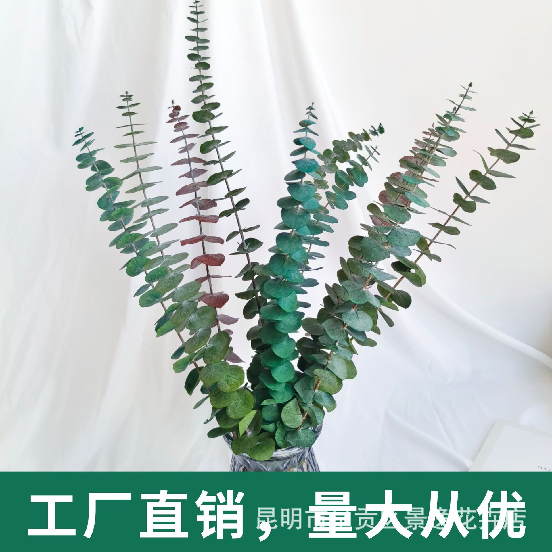 Иммортализированные листья эвкалипта, медный эвкалипт, оптовая продажа зеленых листьев, маленькие листья эвкалипта 10/пачка