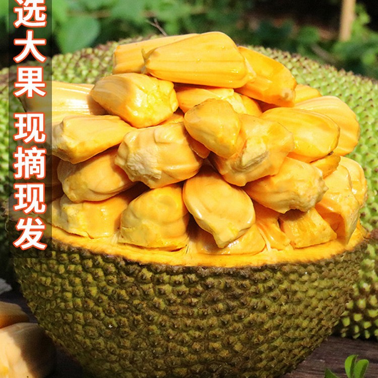 Hainan Sanya Jackfruit Fresh Fruit Jackfruit Seasonal Whole 10-20kg Boxes Free Shipping Red Meat