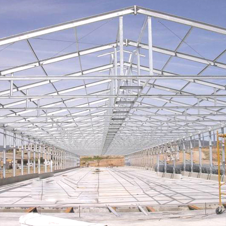Steel Structure Chicken Coop Exports Produce Modernized Prefabricated Chicken Coop Steel Structure Chicken Coop Chicken Poultry House