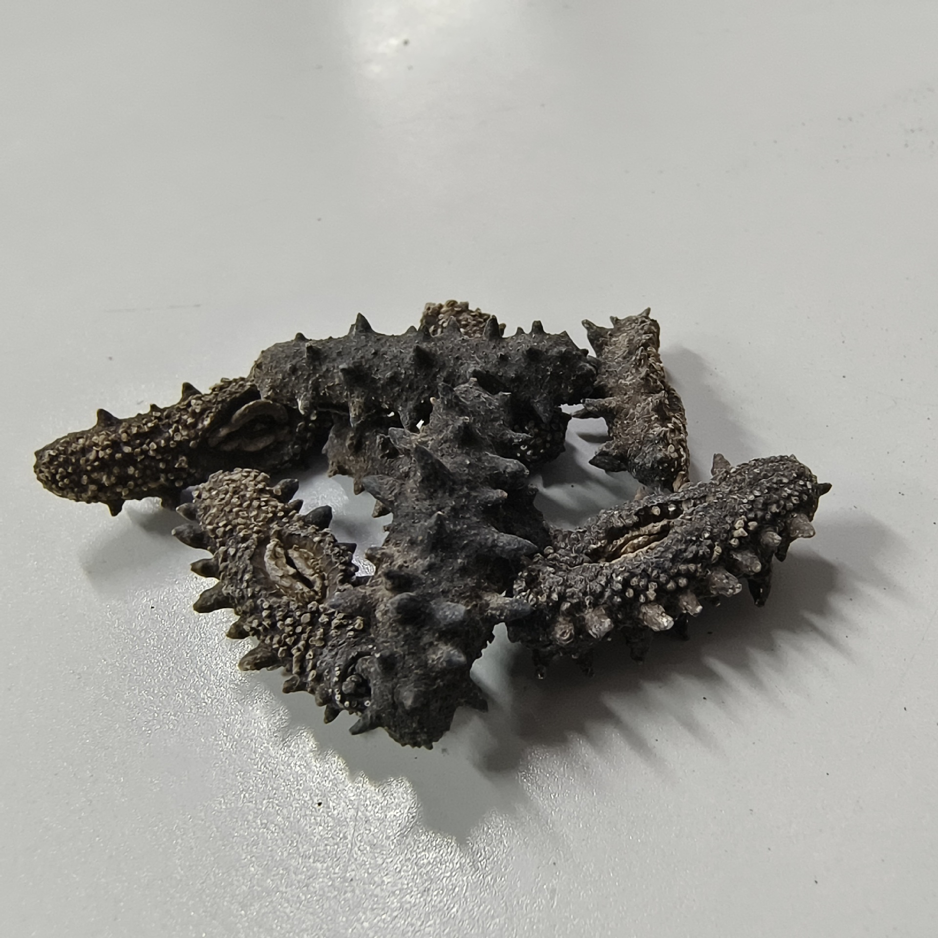 Source Wholesale Light Dried Sea Cucumber Special Price Small Sea Cucumber Dry Goods Liao Sea Cucumber Non-Ready-To-Eat Sea Cucumber Gift Box Live Broadcast on Behalf of