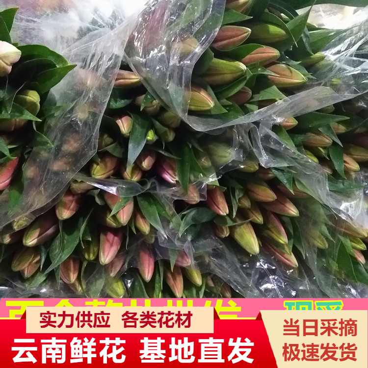 Оптовая продажа многоголовых лилий из Куньминга, 10 штук в упаковке