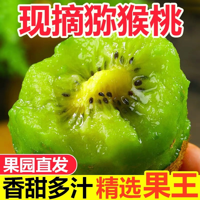 Authentic Green Heart Kiwi 2.5kg Kiwi Kiwi Sweet Fresh Fruit Seasonal Wholesale Whole Box Large Fruits