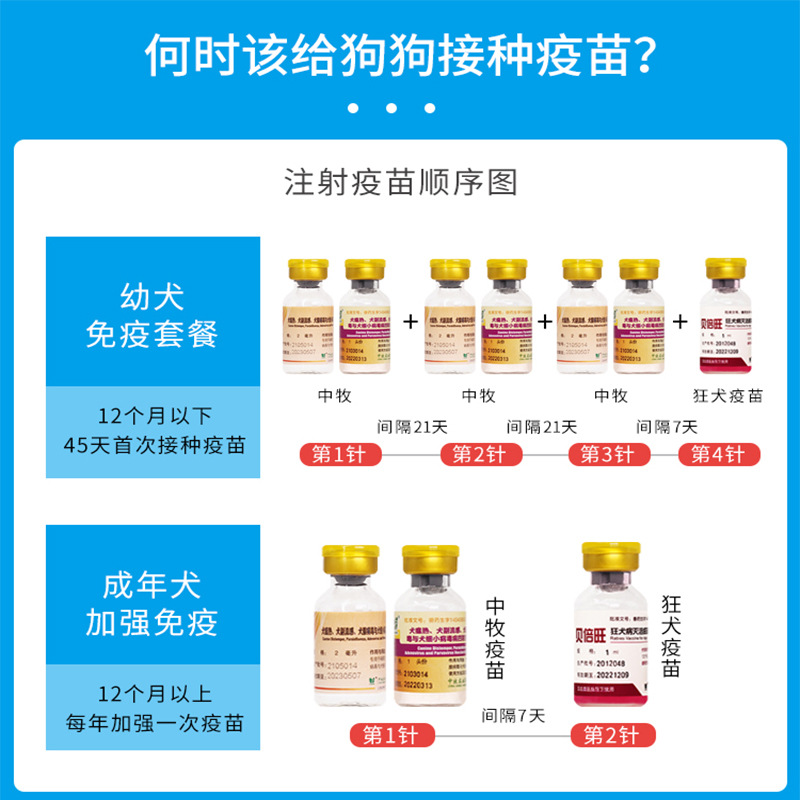 Chinese animal husbandry dog quadruple vaccine into puppies to prevent small canine distemper rabies pet enhanced seedling set needle