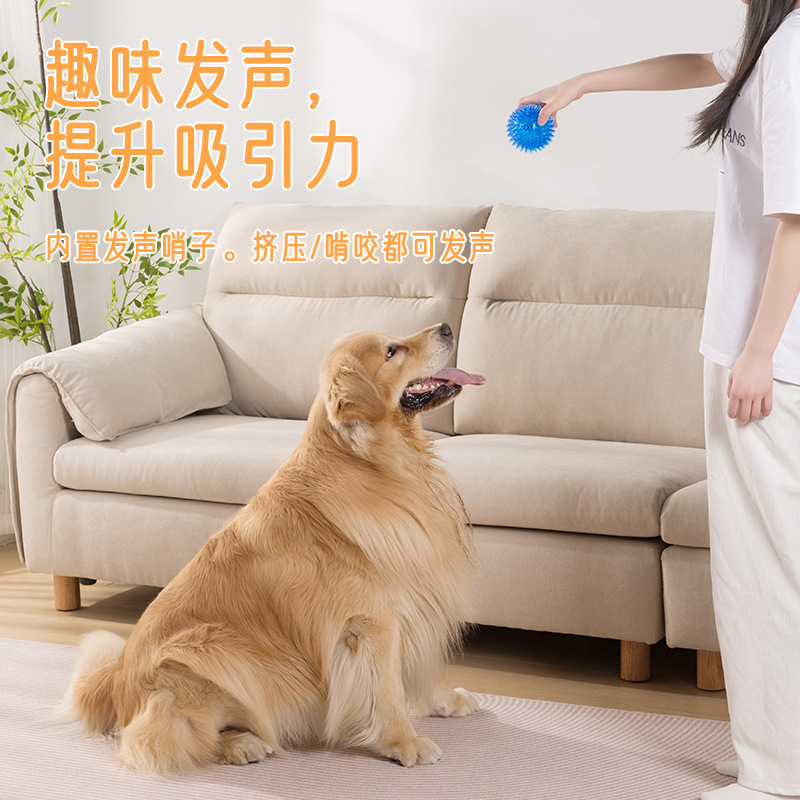 Amazon puppy toy ball elastic voice ball bite not bad squeak hedgehog ball grinding teeth to relieve boredom pet self-hi