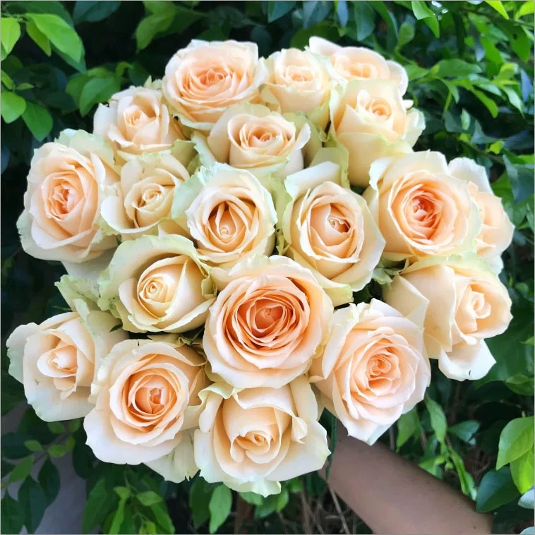 Manufacturer Recommended Scented Ink Screen Printing Scented Ink