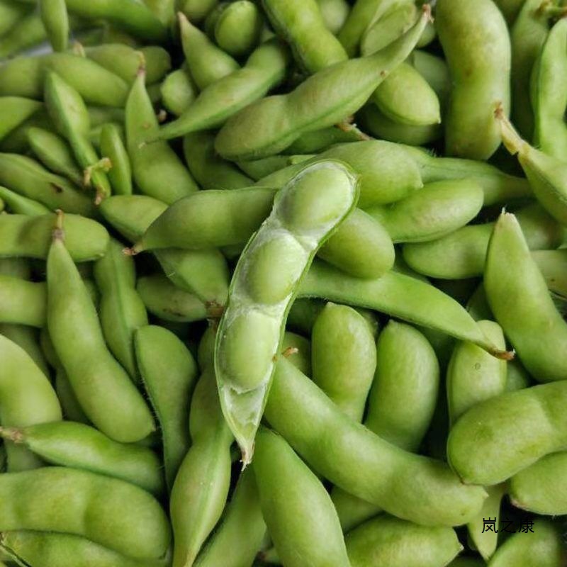 [Direct Delivery from the Place of Origin] Fresh Edamame, Shelled Raw Green Beans, Seasonal Vegetables, Raw Beans, Pods, Edamame, Fresh Soybeans