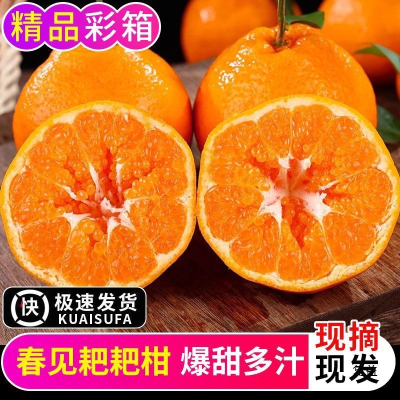 Raked Mandarin Oranges Are Shipped with Leaves Only, Fresh Sichuan Mandarin Oranges, Fresh Fruits, Seasonal Ugly Oranges, Oranges