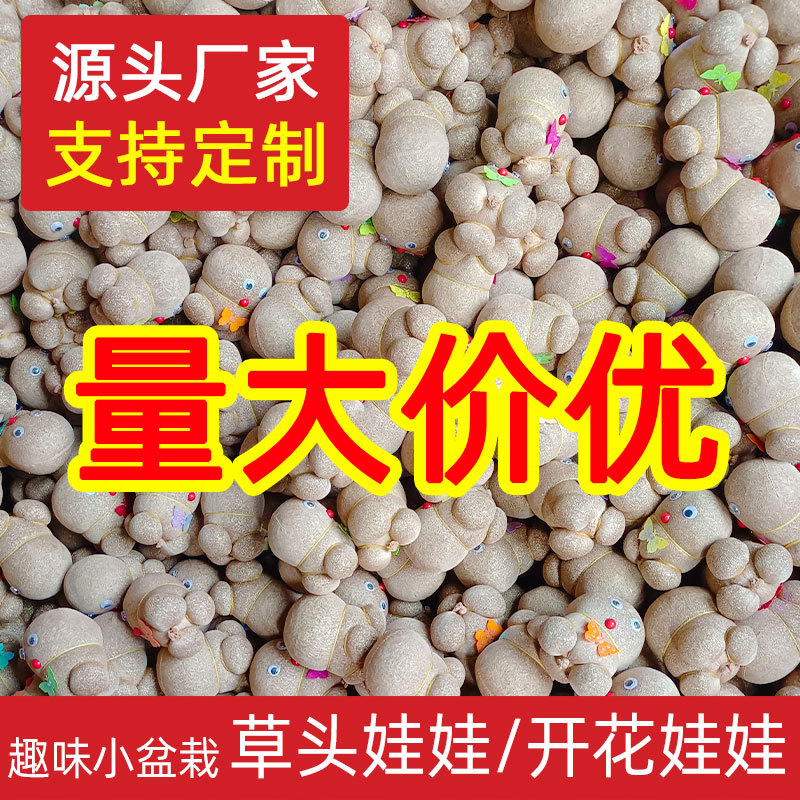 Кукла с травяной головой оптовая продажа длинная травяная кукла цветущая кукла маленькие горшечные зеленые растения гидропонные растения подарки для детей