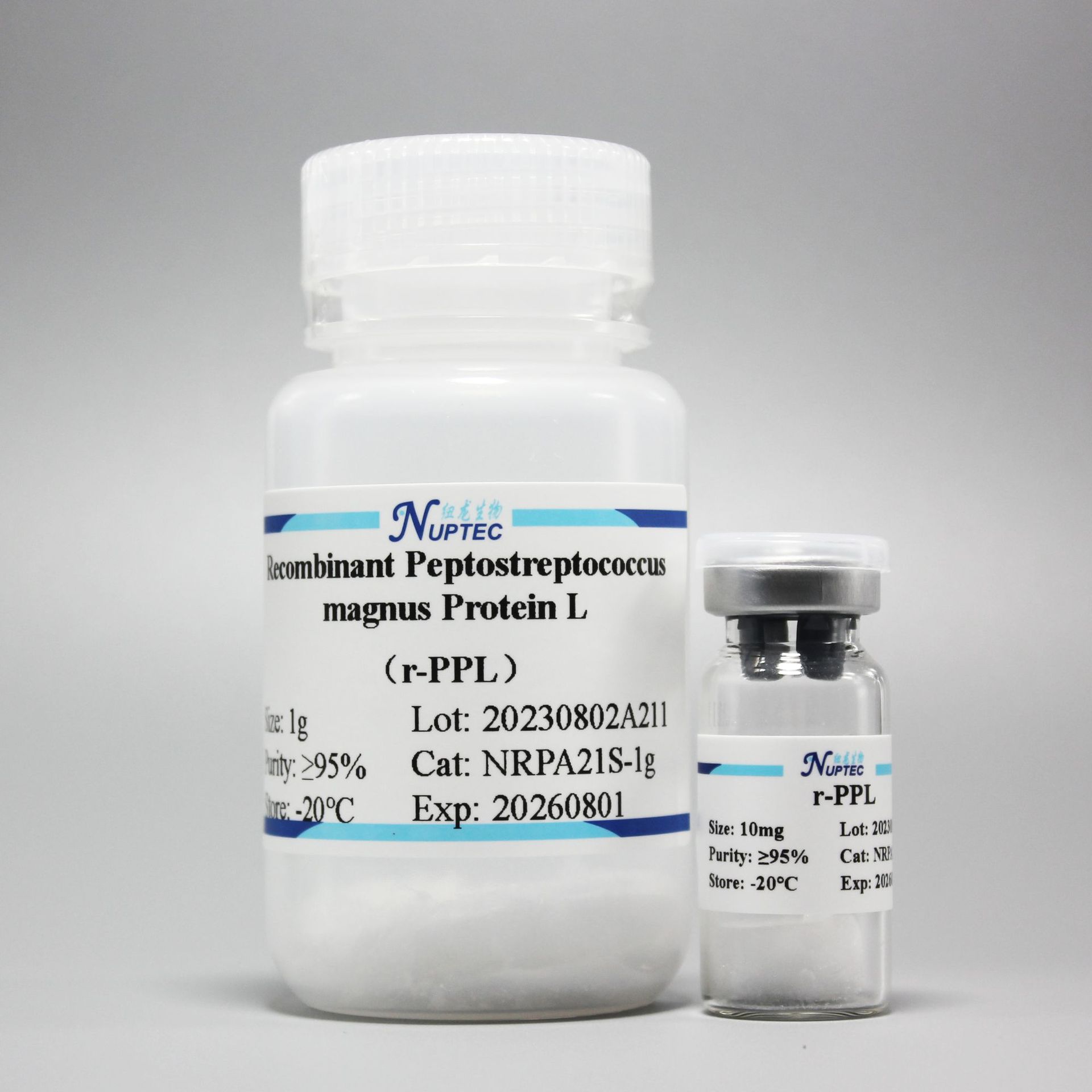 Рекомбинантный дифтерийный белок L (R-Ppl)