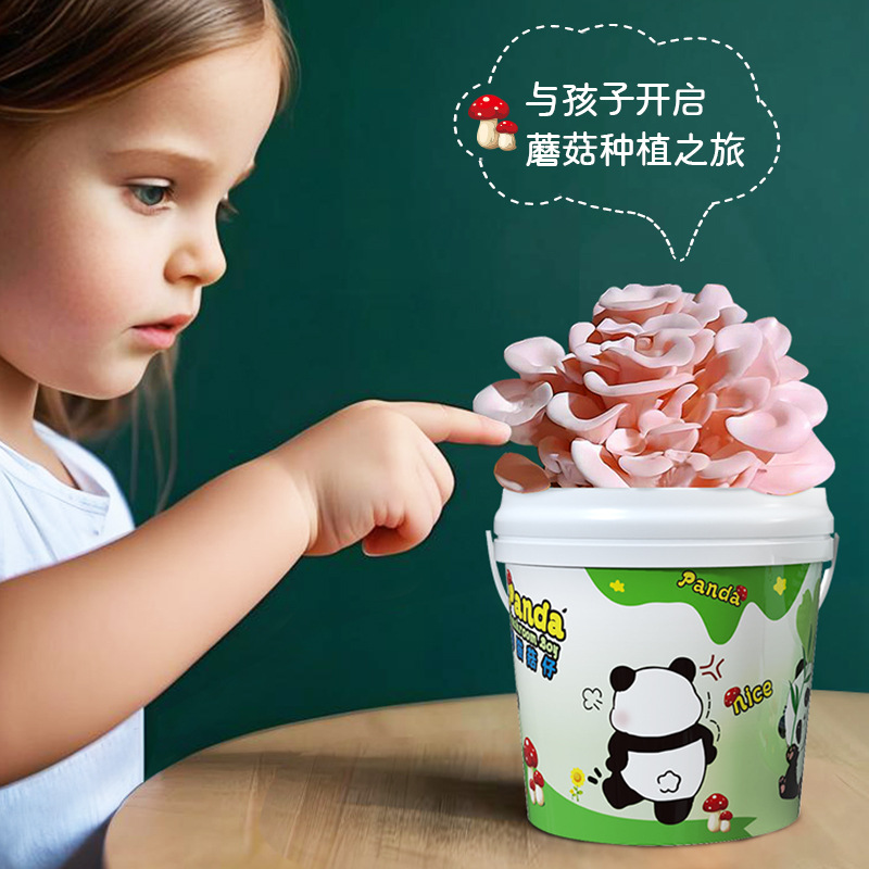 Mushroom Potted Planting Barrel Balcony Kidsren's DIY Pleurotus Culture Edible Fungus Bag Box Stick Home School