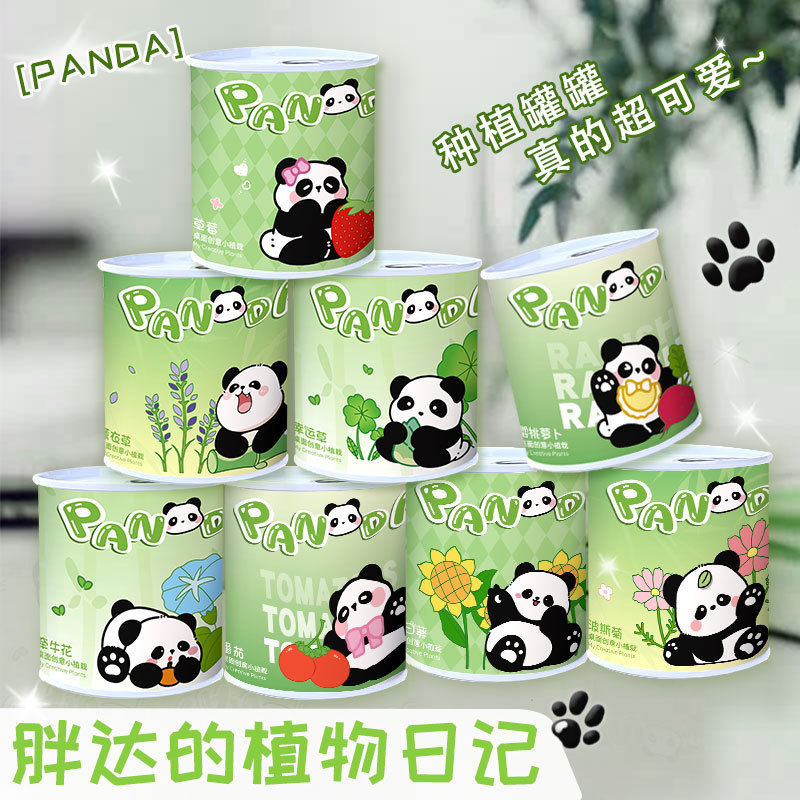 Children's Reward Small Gift Pull-Tab Canister Potted Indoor Mini Desktop Green Plant Trendy Canned Decorative Small Potted Plant