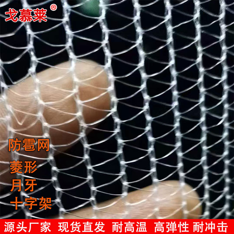 Anti-hail net anti-aging encryption crescent edge orchard anti-bird net apple grape white nylon greenhouse protective net