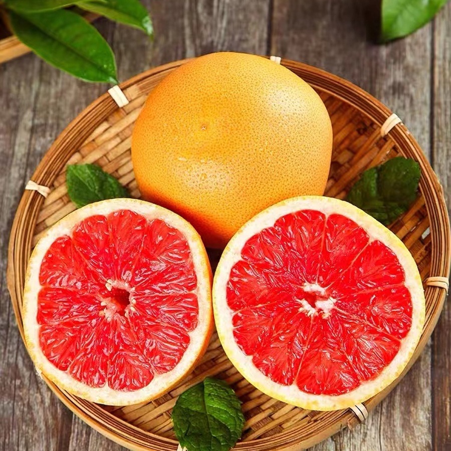 South African Grapefruit Sour and Sweet Red Meat Fruit Fresh 2 4 Pack Grapefruit Dropshipping