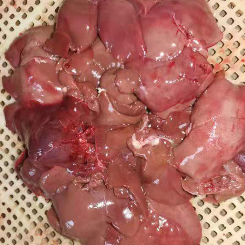 Fresh Rabbit Meat, Freshly Killed Whole Farmhouse Free-Range Rabbit Meat with Head, Rabbit Legs, Frozen Fresh Rabbit Head