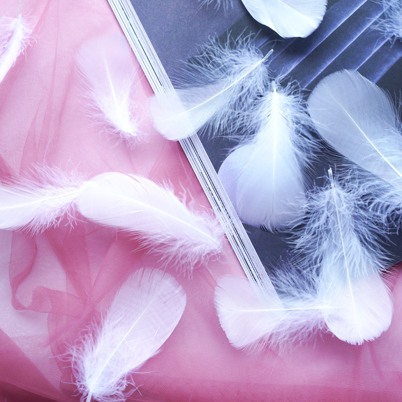 Manufacturer Wholesale Macaron Colorfulful Small Feather 5-8cm Goose Feather Small Floating Wave Ball Balloon Filling Decorative Material