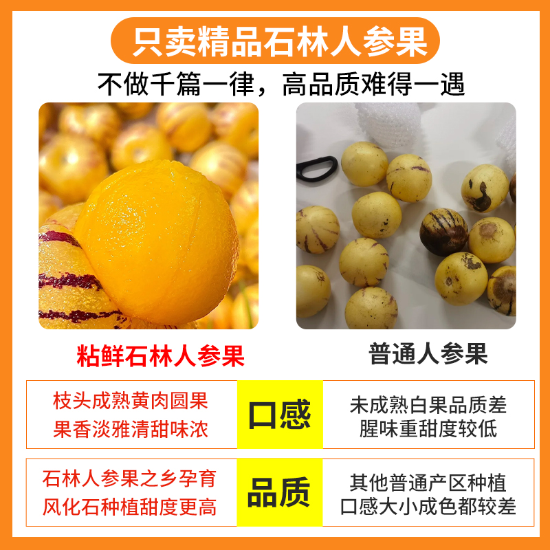 Yunnan Shilin Ginseng Fruit 4.5kg Fresh Fruit Tree Ripe Seasonal Yellow Flesh Round Fruit Gift Box Full Box Free Shipping