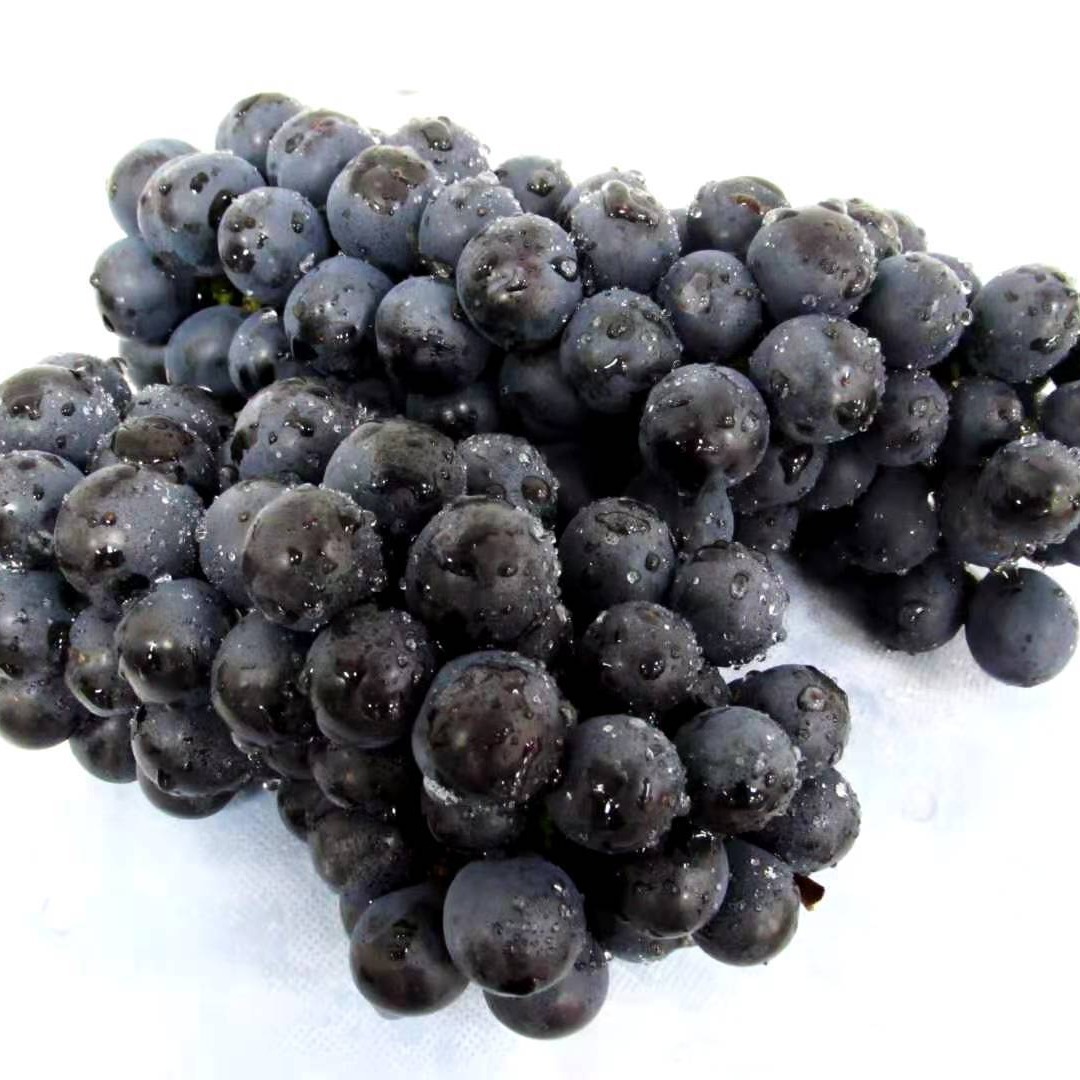 [Direct Delivery from the Place of Origin] Summer Black Grapes Are Freshly Picked in Season, Sweet and Sour, Non-Kaffeng Grapes Are Shipped in One Piece