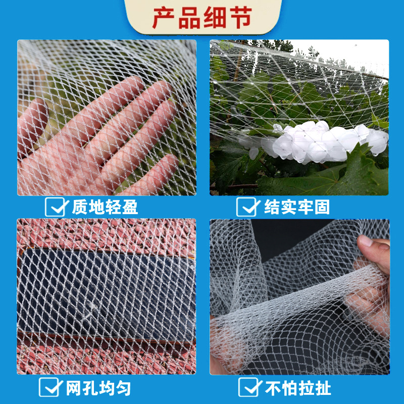 Anti-Hail Net, Anti-Bird Net, Apple Orchard, Vineyard Anti-Bird Net, New Material, Anti-Oxidation Gauze Net, Farm Gardening Anti-Bird Net