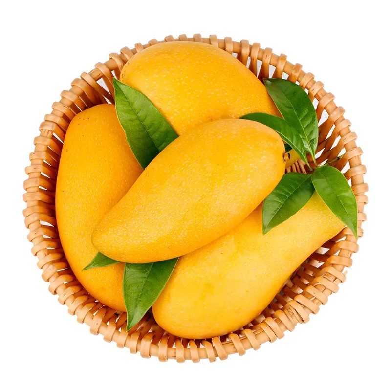 Authentic Vietnamese Golden Huang Mango, Fresh with Free Shipping, 5kg Whole Box of Seasonal Fruit, Giant Tropical Fruit, Sweet