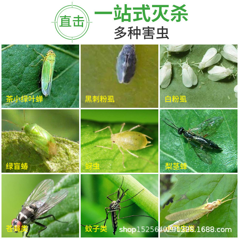 Sticky insect plate yellow plate double-sided small flying insect killing artifact greenhouse fruit fly killing sticker orchard fruit fly mosquito trap