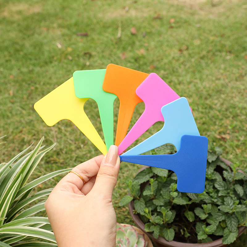 Т-образная метка для суккулентов, пластиковая метка для рассады