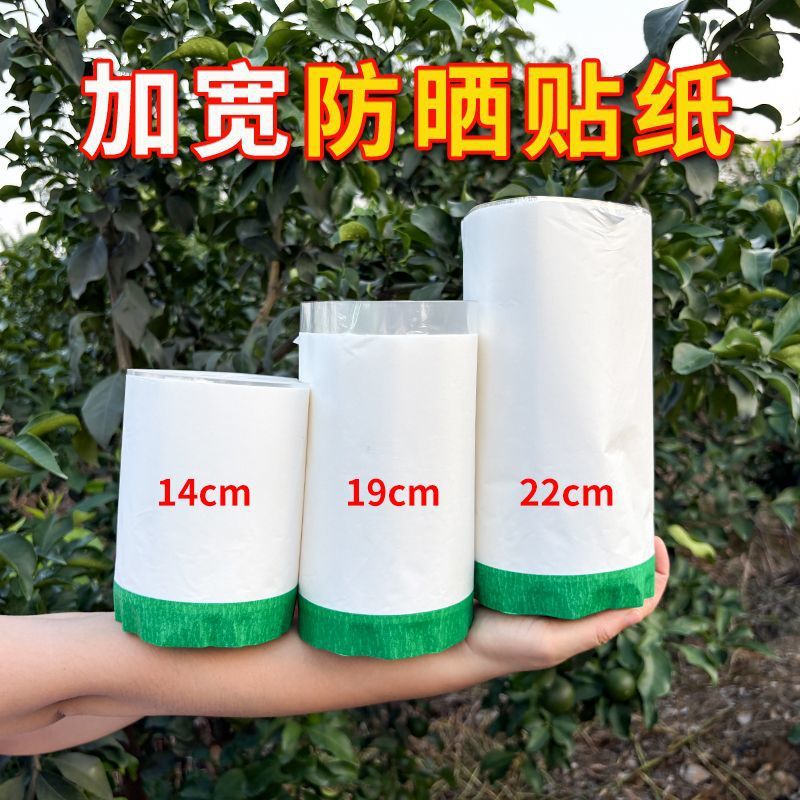 Citrus Sun Protection Stickers, Sun Fruit Stickers, Fruit Sun Protection Paper, Citrus Sun Protection Stickers, Fruit Rain Protection and Sunshade