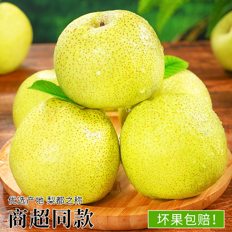Hot-Selling Anhui Dangshan Crispy Pears 5kg Pears Fresh Fruit Seasonal Whole Box Free Shipping Specialty Fragrant Crispy Pears