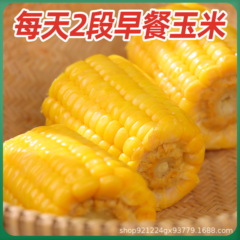 Instant Fruit Corn Segment Vacuum Packaging Non-Cooking Sweet Corn Student Dormitory Snacks Breakfast Meal Substitute Household