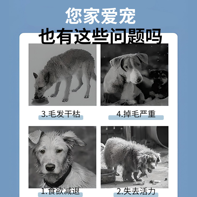 Baichong Wei deep sea fish oil dogs and cats general 70 tablets/bottle other