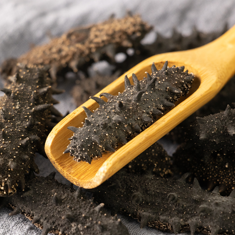 Dalian Pure Light Dried Sea Cucumber Dry Goods Wholesale Deep Sea Bottom播廖 Sea Cucumber Bulk Seafood Aquatic Dry Goods Gift Box Commercial