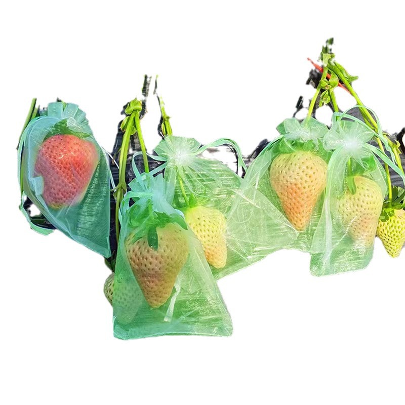 Spot fruit insect-proof bird-proof mesh bag lit beam mesh bag vegetable breathable drawstring bag fruit bagging protection bag