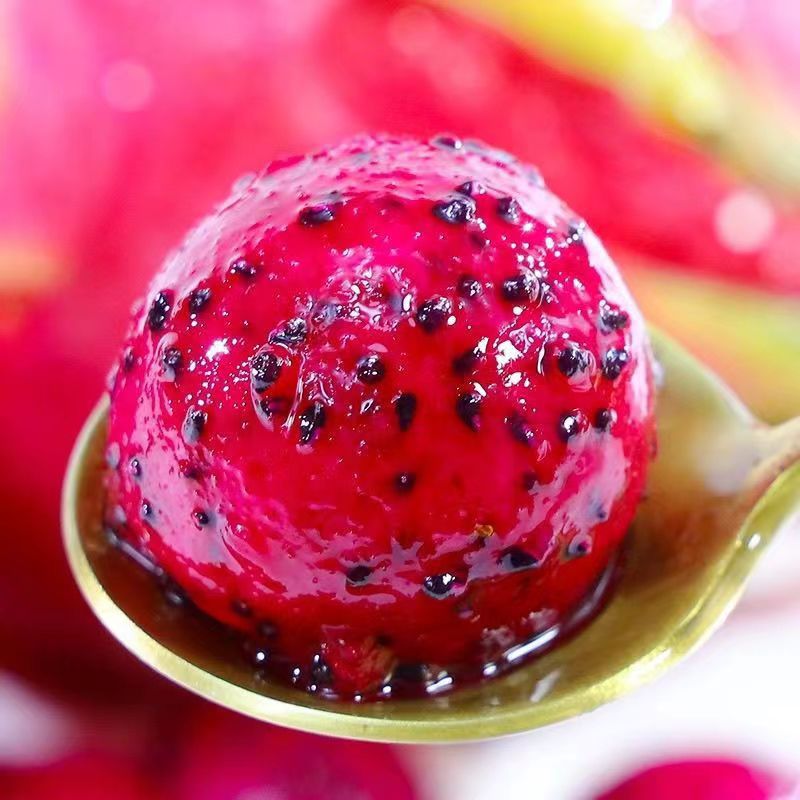 Jindu No. 1 Red Dragon Fruit Whole Box Seasonal Freshly Picked Red Flesh Treasure Fresh Fruit Free Shipping Wholesale
