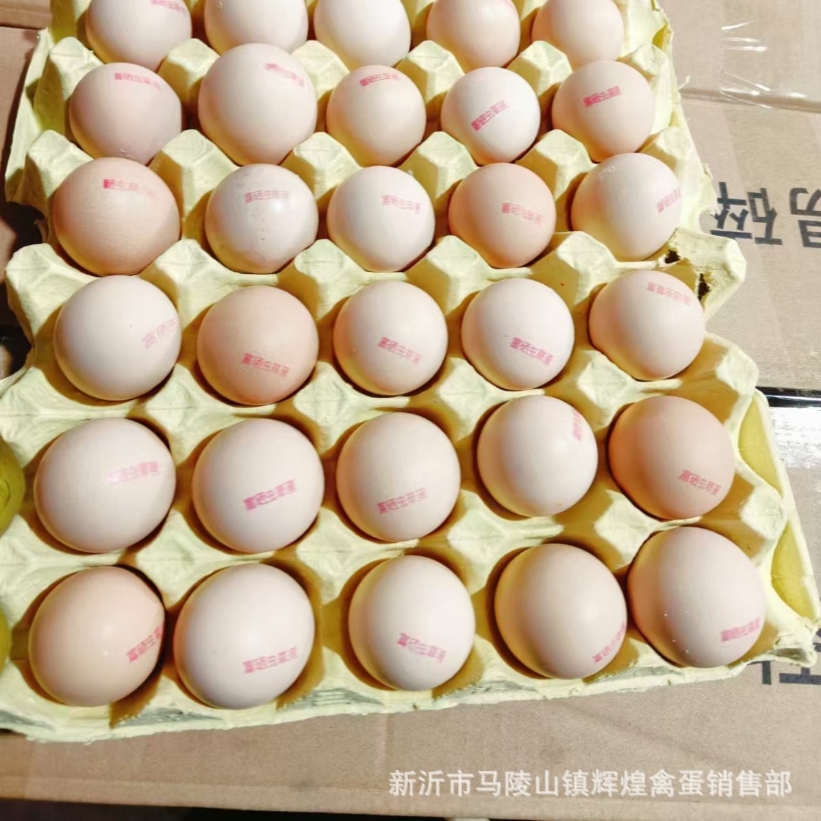 Оптовая продажа свежих яиц кордицепса, богатых селеном, без антибиотиков, местных яиц, глупых яиц, травяных яиц, струйная печать