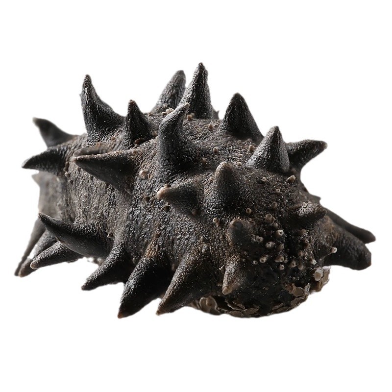 Authentic Dalian Sea Cucumber, 40-Head Sea Cucumber, Factory Sea Cucumber, Dried Goods, Lightly Dried, Holiday Gift Box, Direct Supply from the Source