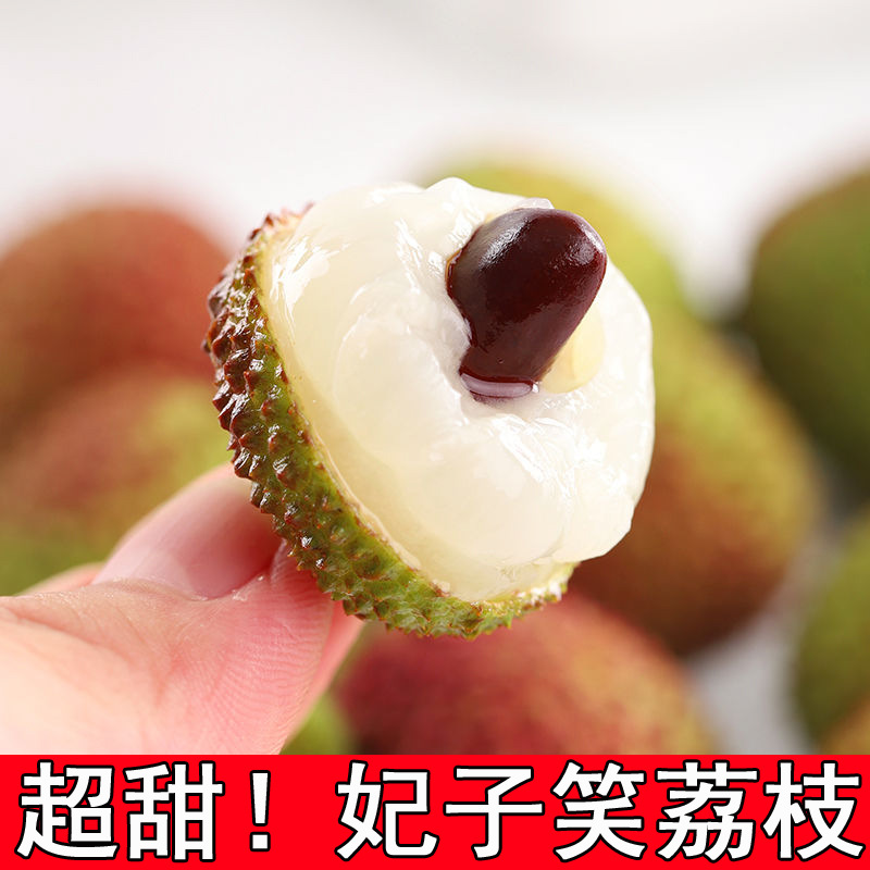 [Premium] 2025 Feizixiao Lychee, Freshly Picked, Small, Thick-Fleshed Seasonal Fruit, Net Weight 0.5-2.2kg