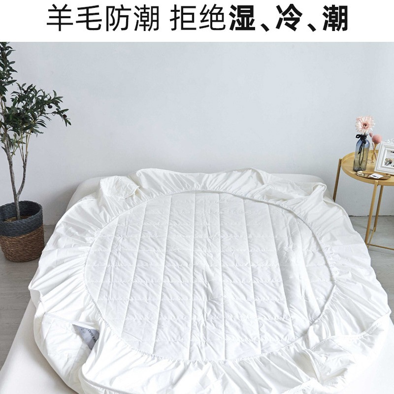 Pure Wool Mattress Cover Xinjiang Cotton Australian Wool Moisture-Proof Mattress Washable Protein Antibacterial Anti-Mite
