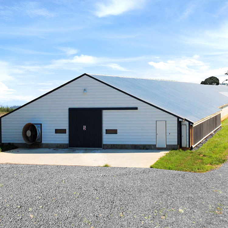 Hot galvanized steel structure chicken house export production Prefabricated steel structure chicken shed steel structure construction chicken farm