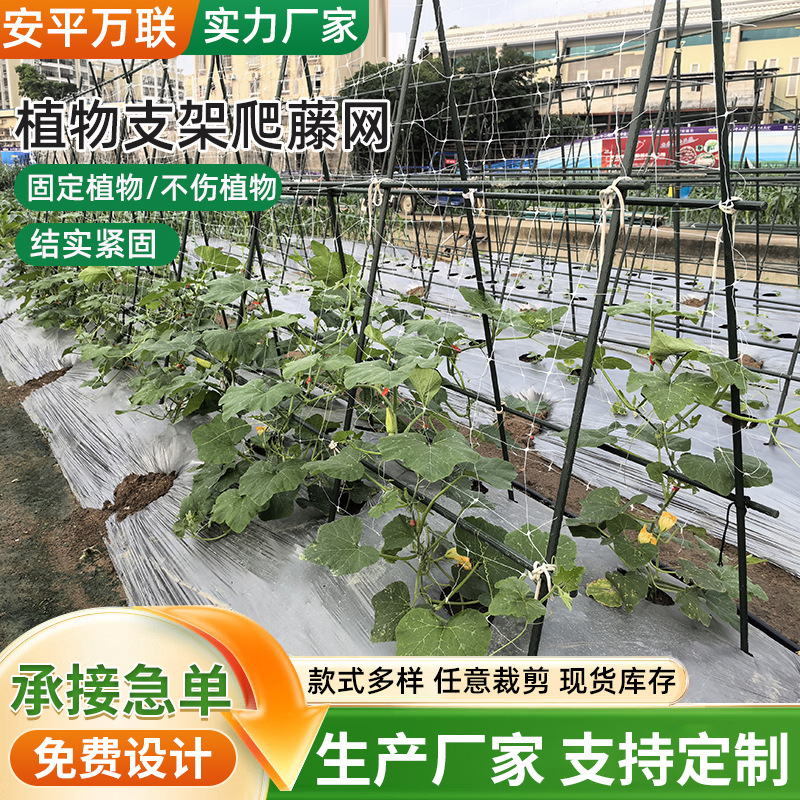 Wholesale Customized Plant Climbing Net Flower Growth Support Net Pp Plastic Gardening Vegetable and Fruit Square Grids 15cm Grids