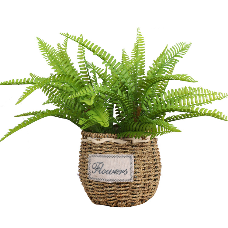 Scandinavian Simulated Ferns, Plant Wall Accessories, Photography Props, Natural Soft Rubber Simulated Grass, Persian Grass Wholesale