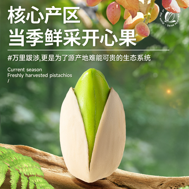 [Three Squirrels Pistachios 50g] Healthy Snacks Nuts Dried Fruits Roasted Daily Nuts