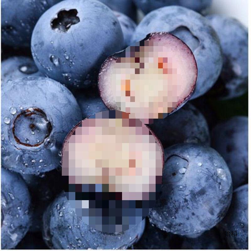 Blueberry 8 Boxes of Fresh Fruit for Pregnant Women and Babies, Fruit Snacks, Blue Plum Sf Snacks, Binge-Watching Snacks, Cross-Border Shipping