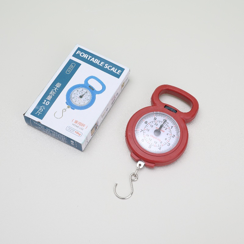 Precision Mini Spring Scale, High-precision Grocery Shopping Household Small Satchel Scale, Student Teaching Machinery Hook Scale