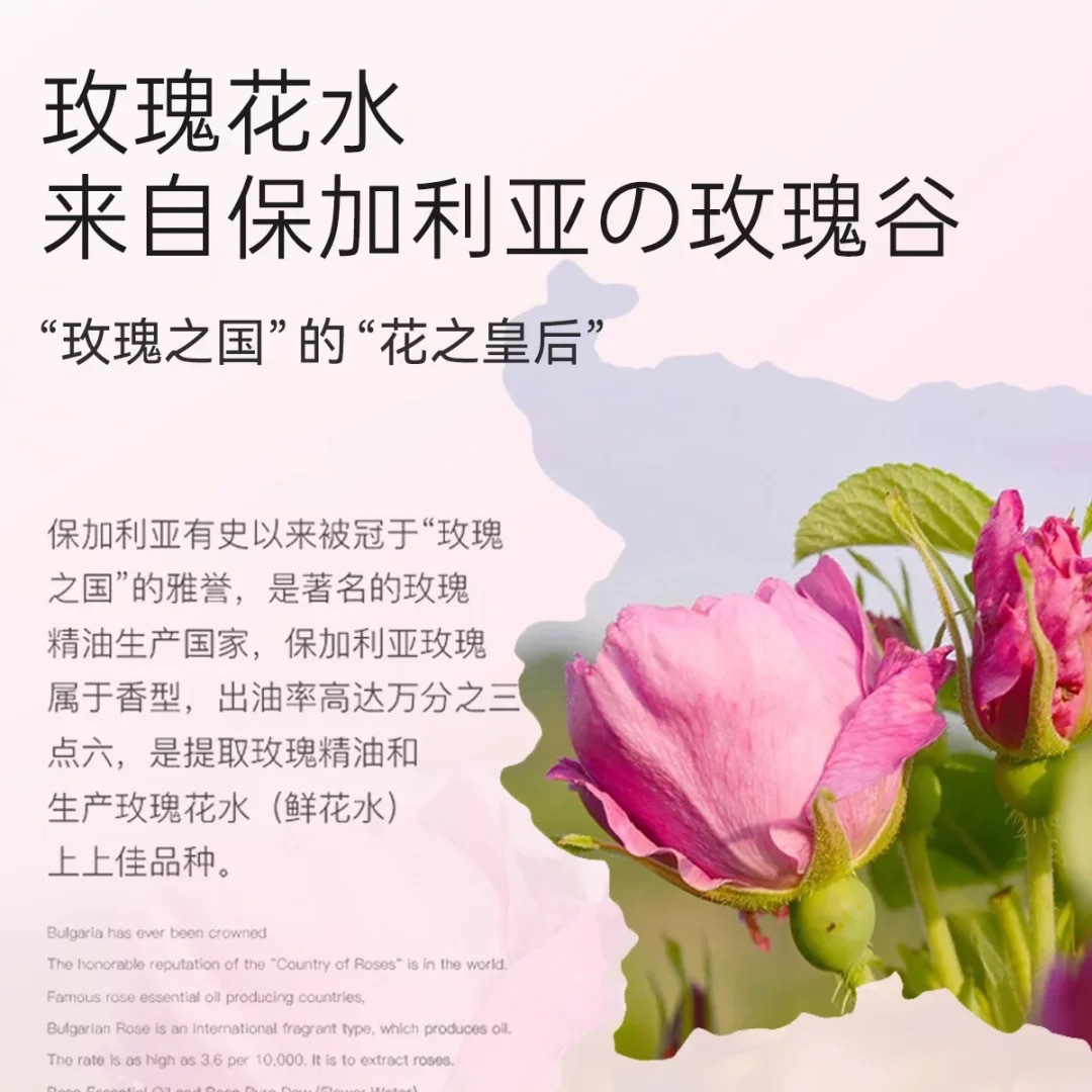 Rose Hydrosol Water Moisturizing Horizontal Bud Rose Flower Liquid Distilled Water Hydrosol Original Liquid Wet Compress Toner