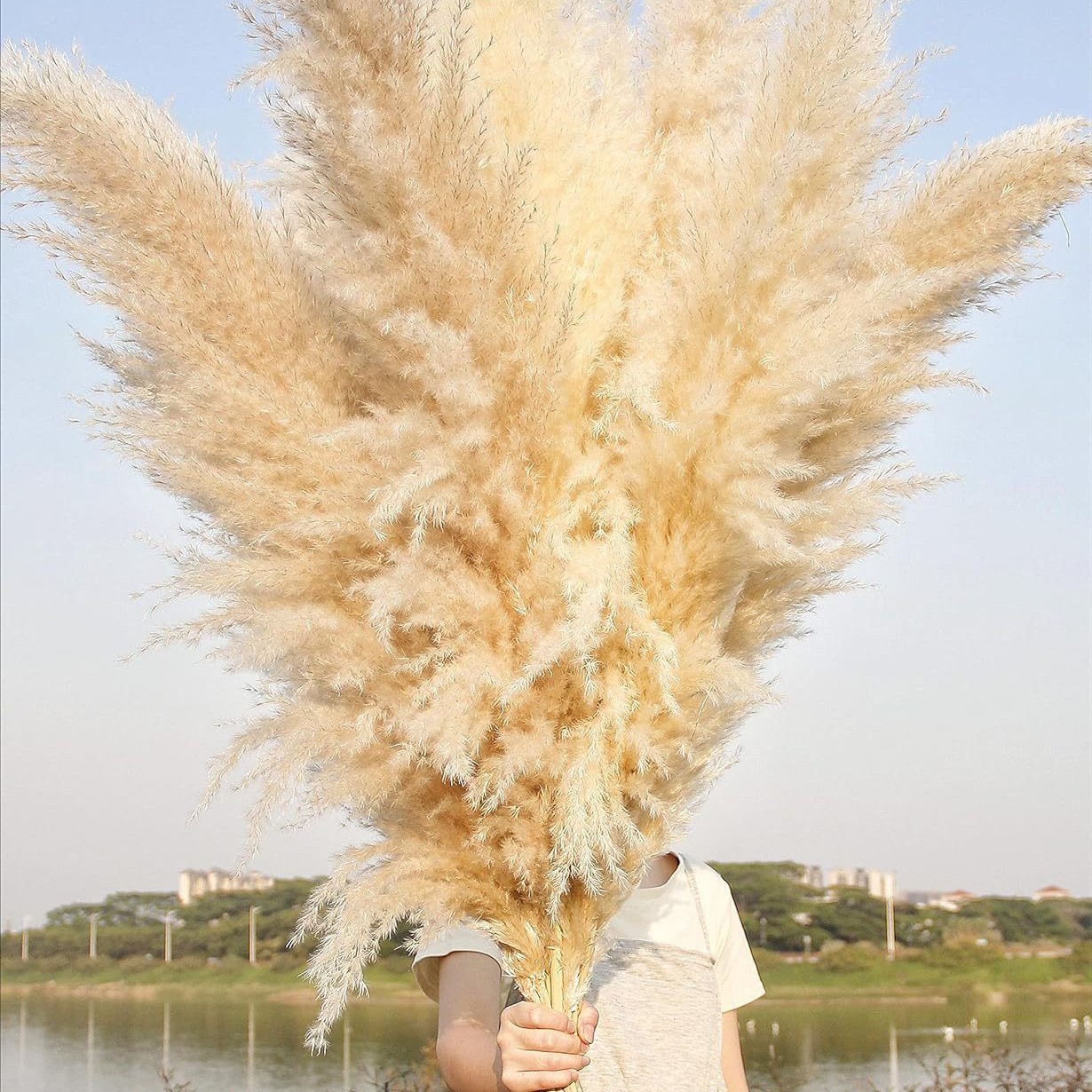 Сухие цветы из тростника серые крупные для свадебного декора в скандинавском стиле оптовая продажа