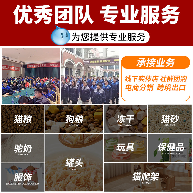 Cat Snacks Cat Strips 15g Adult Cats and Kittens Interactive Reward Cat Wet Food Adult Cats and Kittens Cat Snacks Cat Strips Canned