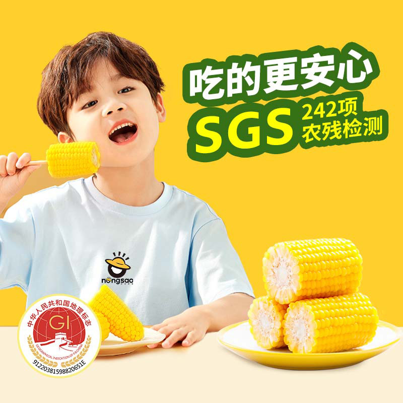 Northeast Nongsao Sweet Corn Segment Fresh Peel Corn Grain Instant Snack Sweet and Tender Sweet and Crisp Fruit Corn Pulp