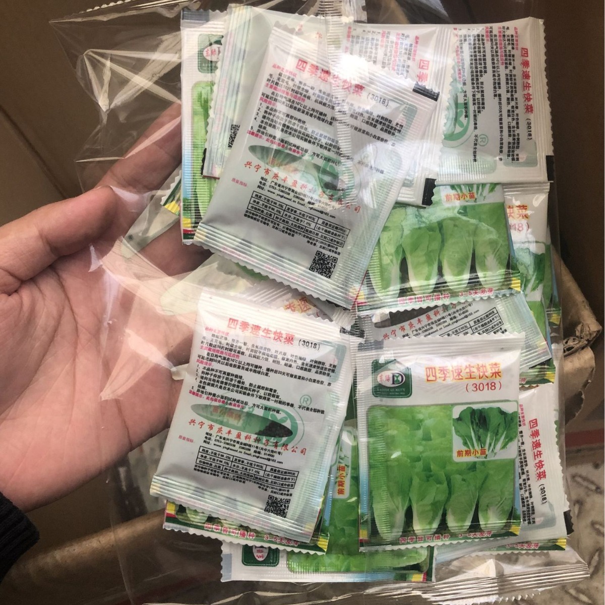 Flower Shop Drainage Supplies [6.5×8.8cm Mini Packaging] Wholesale of 30 Bags of Vegetable Seeds of Your Choice